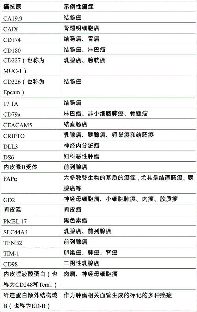 Figure BDA0002763179510000301