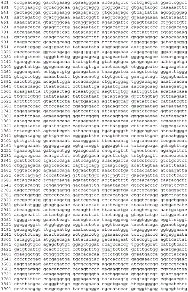 Figure BDA0003465582640001351