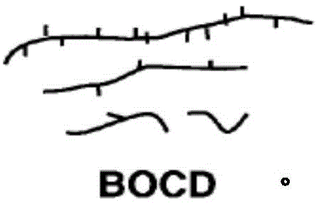 Figure BDA0002460975540000031