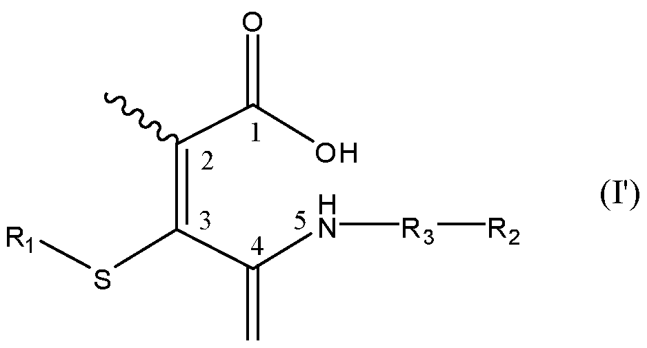 Figure imgf000004_0001