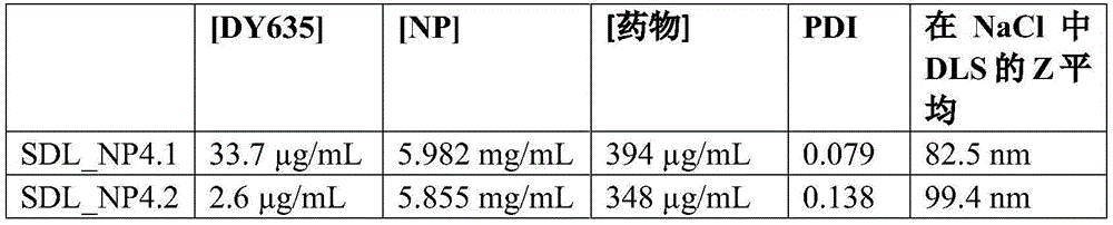 Figure BDA0003195586580000197