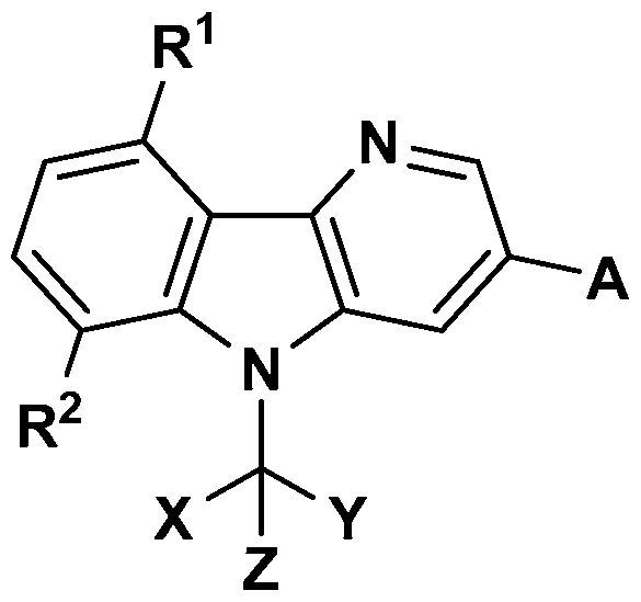 Figure imgf000013_0001