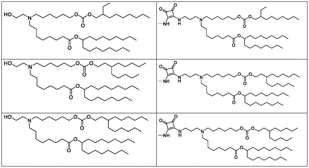 Figure BDA0003652566710001391