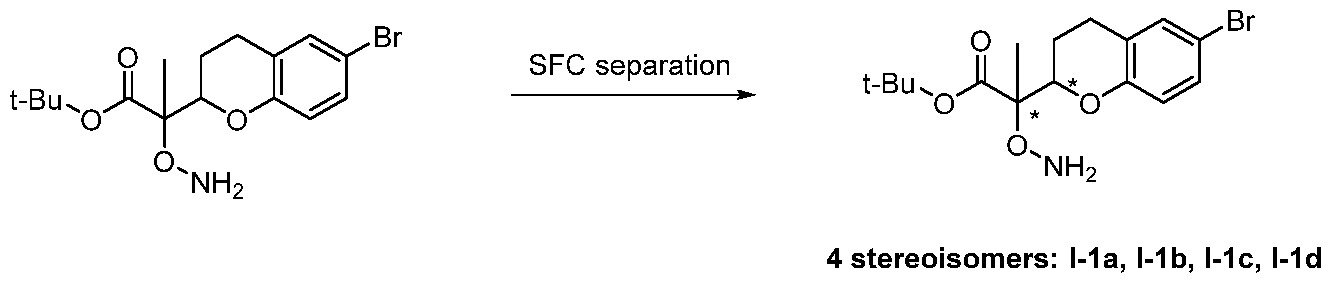 Figure imgf000080_0001