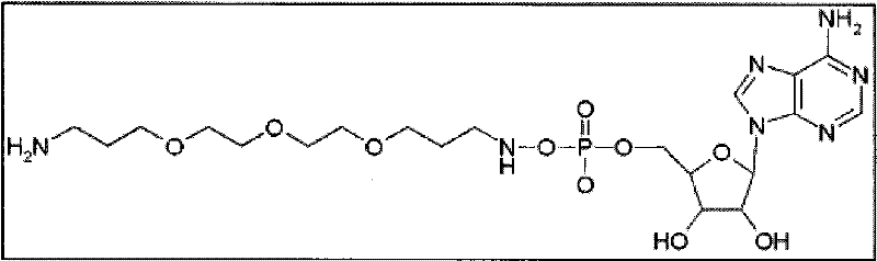 Figure BPA00001350255800144