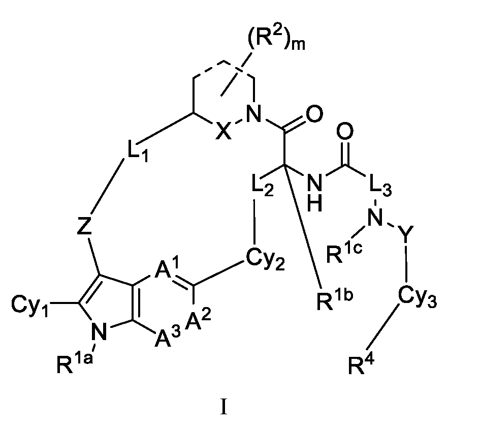 Figure imgf000005_0002