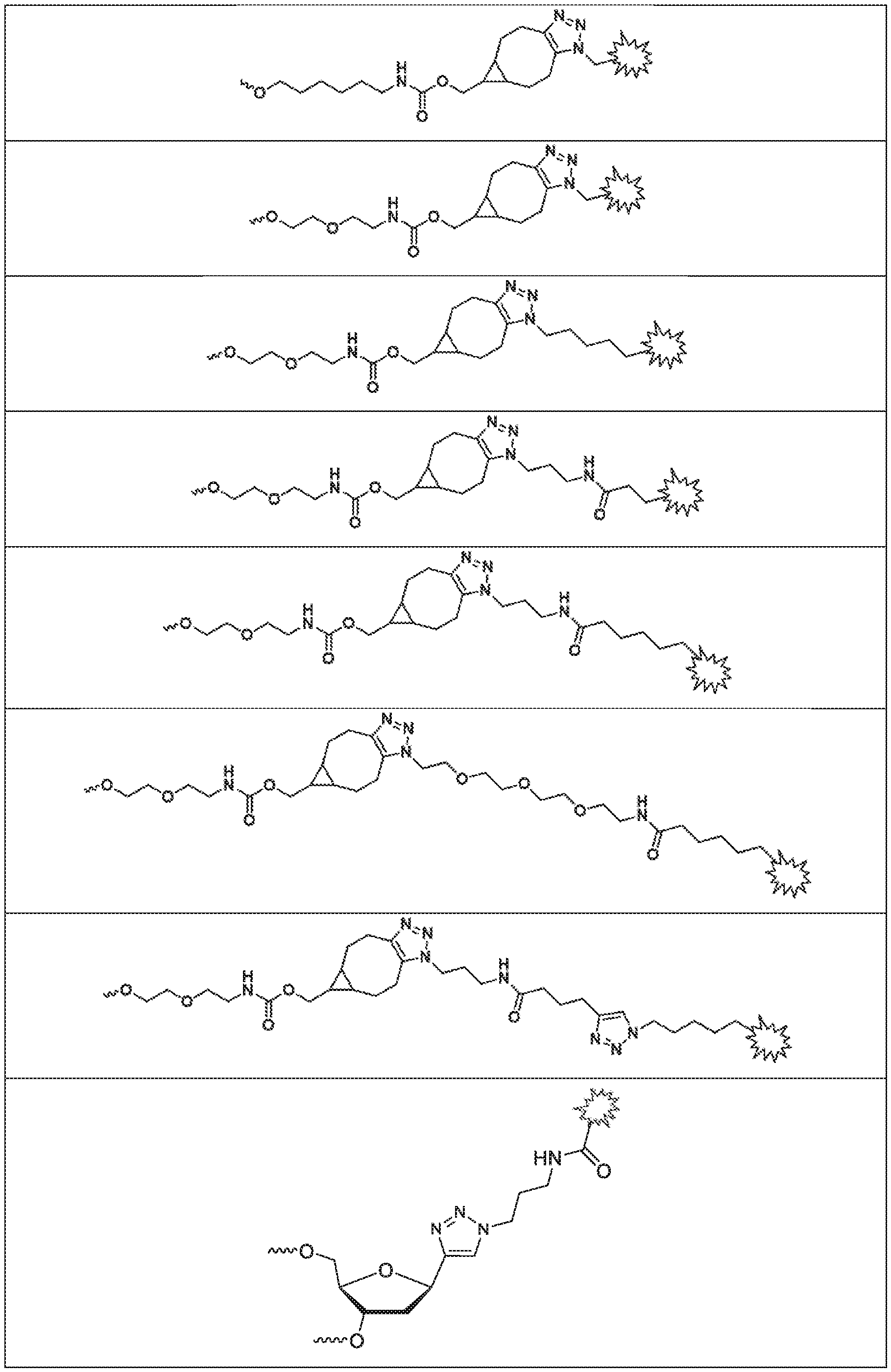 Figure imgf000045_0001