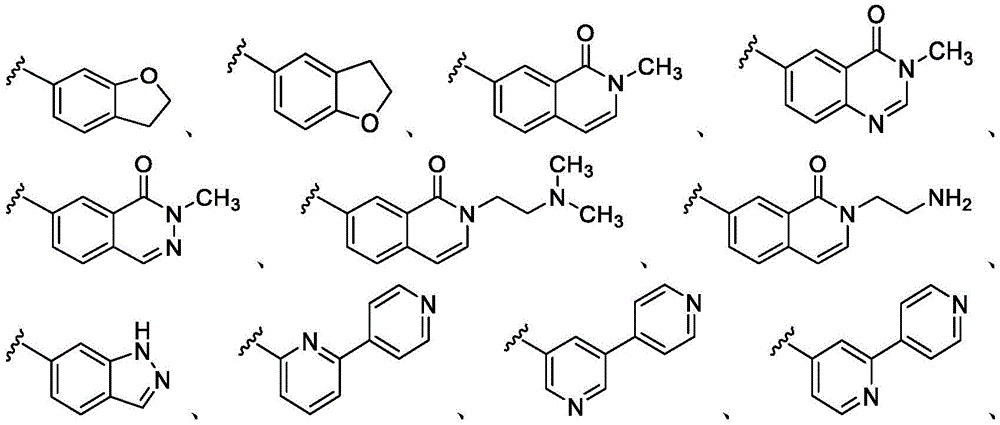 Figure BDA0002710254920000315