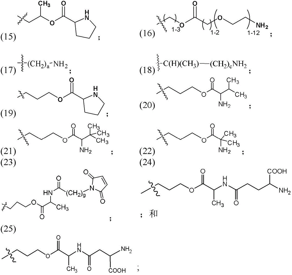 Figure BDA0003135424430000961