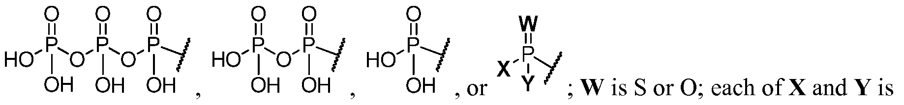 Figure imgf000006_0004