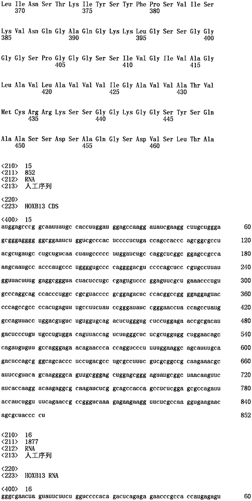 Figure IPA0000310332720000171