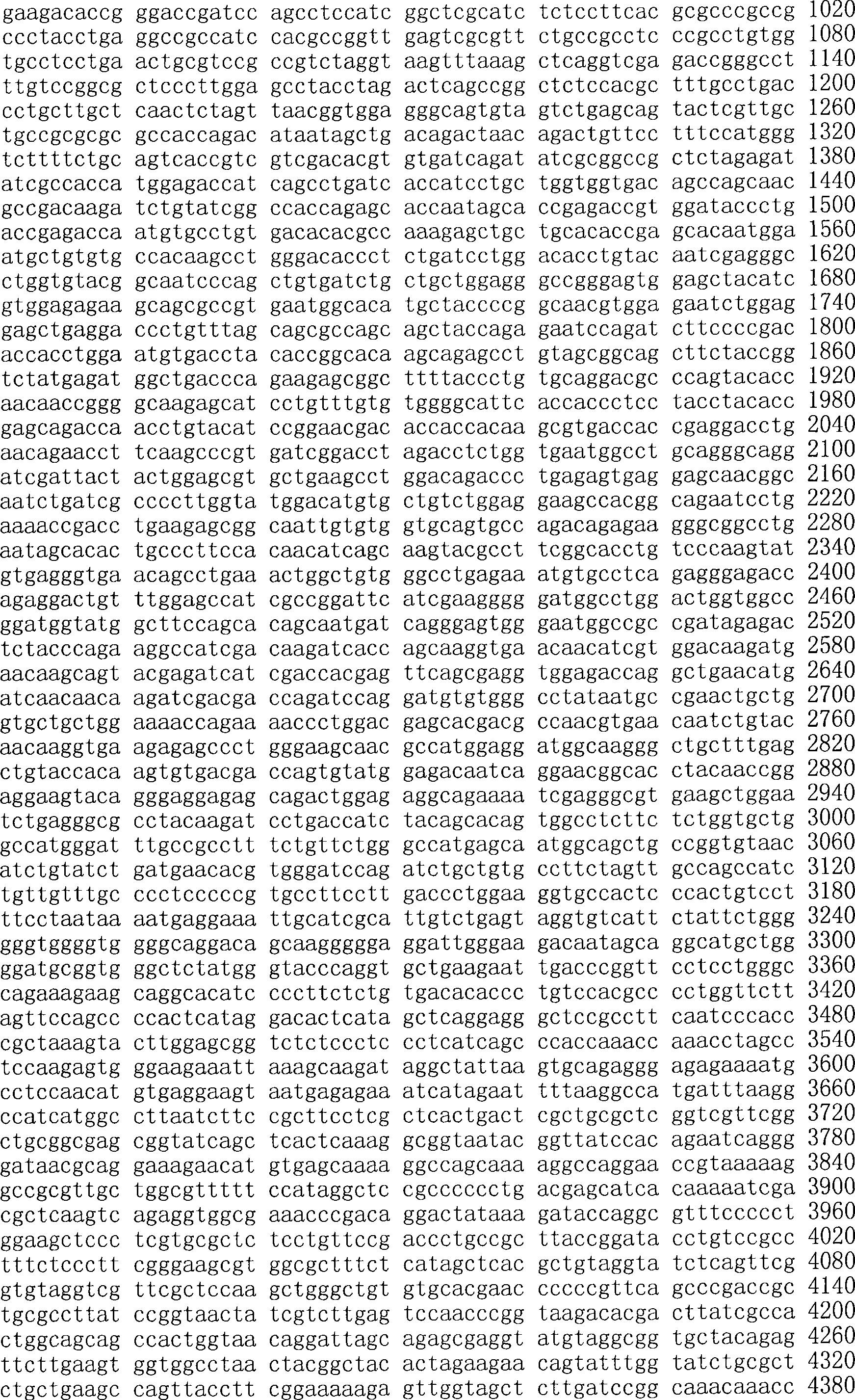 Figure A200780009494D03341