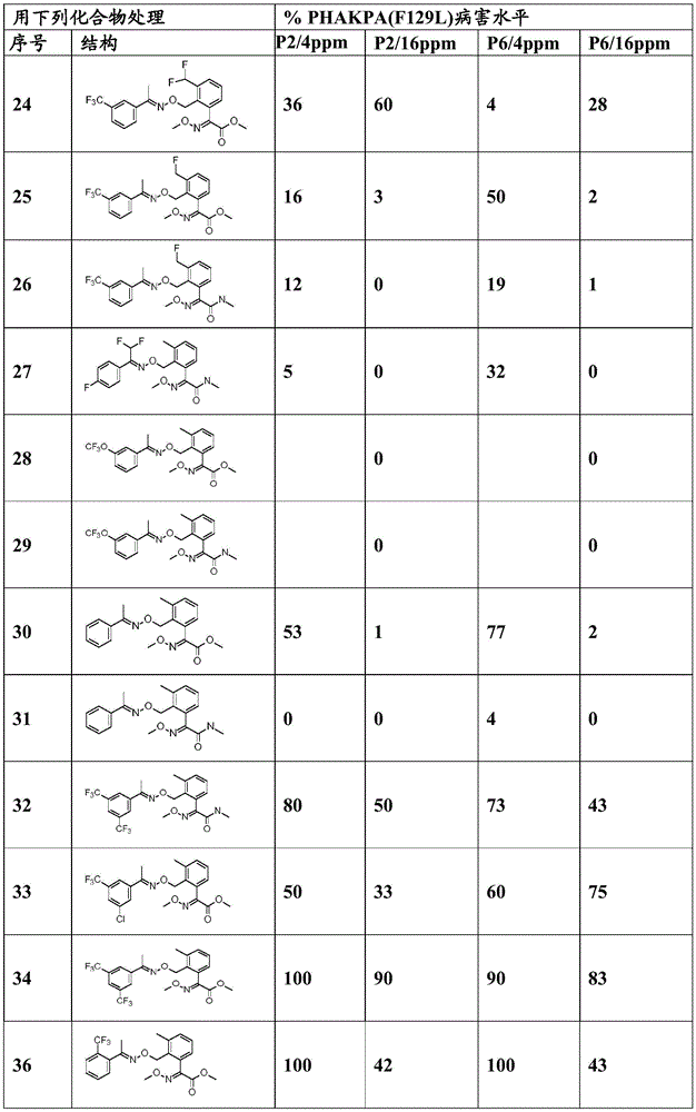 Figure BDA0003914530940000991