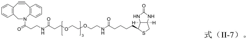 Figure BDA0001271477220000081