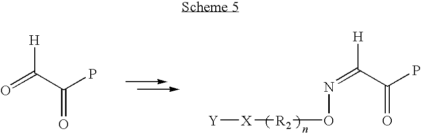 Figure US20100099649A1-20100422-C00016