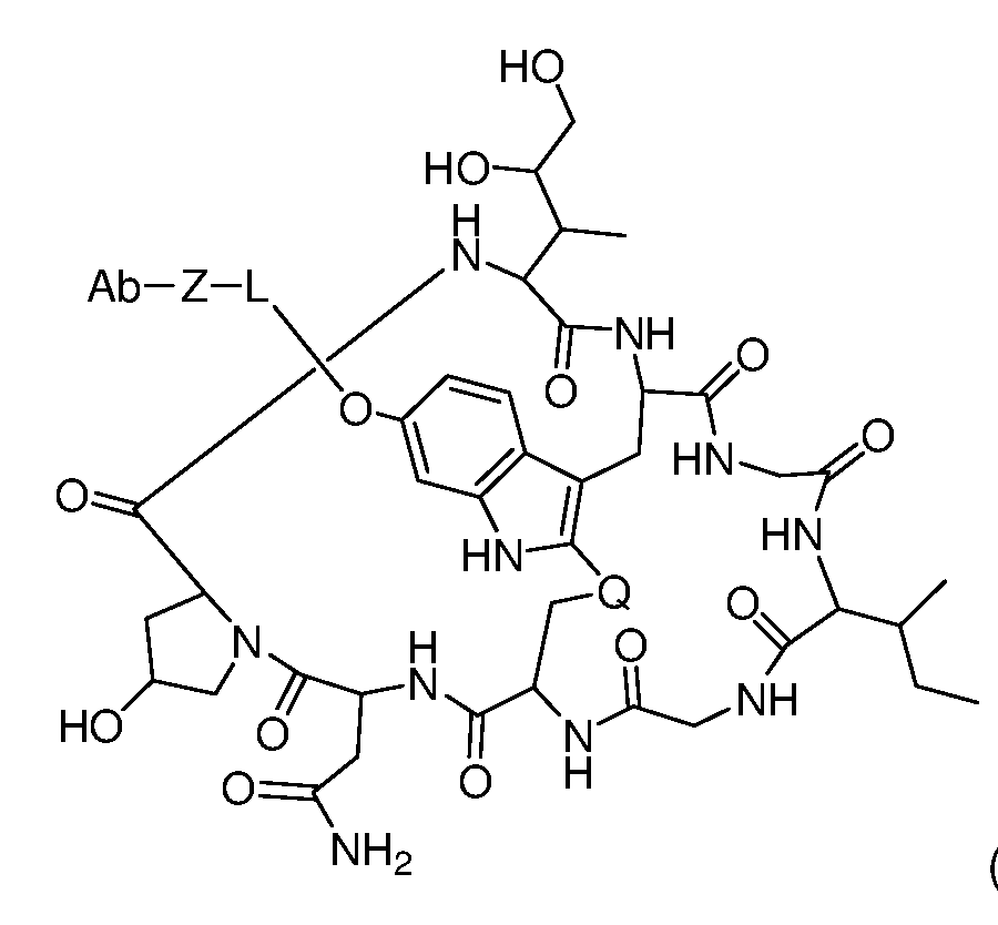 Figure imgf000005_0001