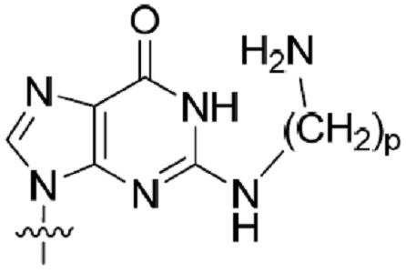 Figure 112018080548749-pat00025