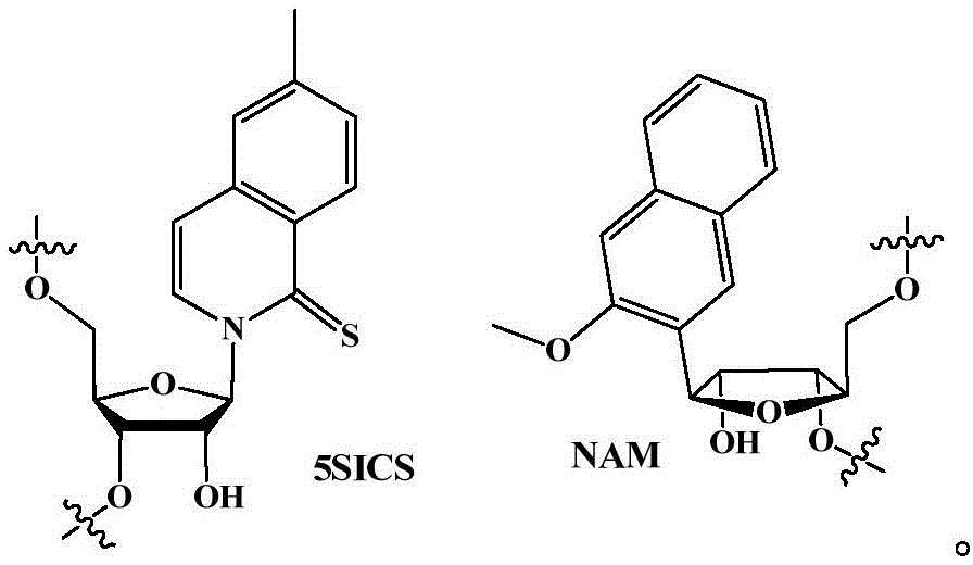 Figure BDA0002646587660000221