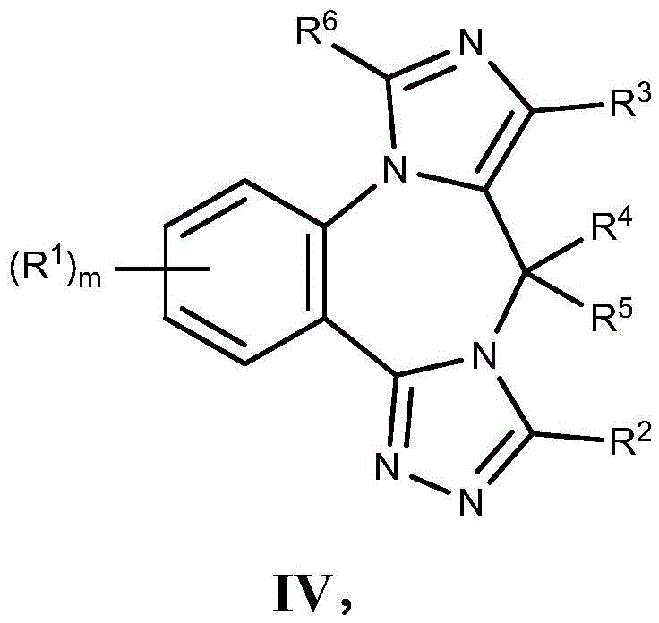 Figure BDA0003086328090000811