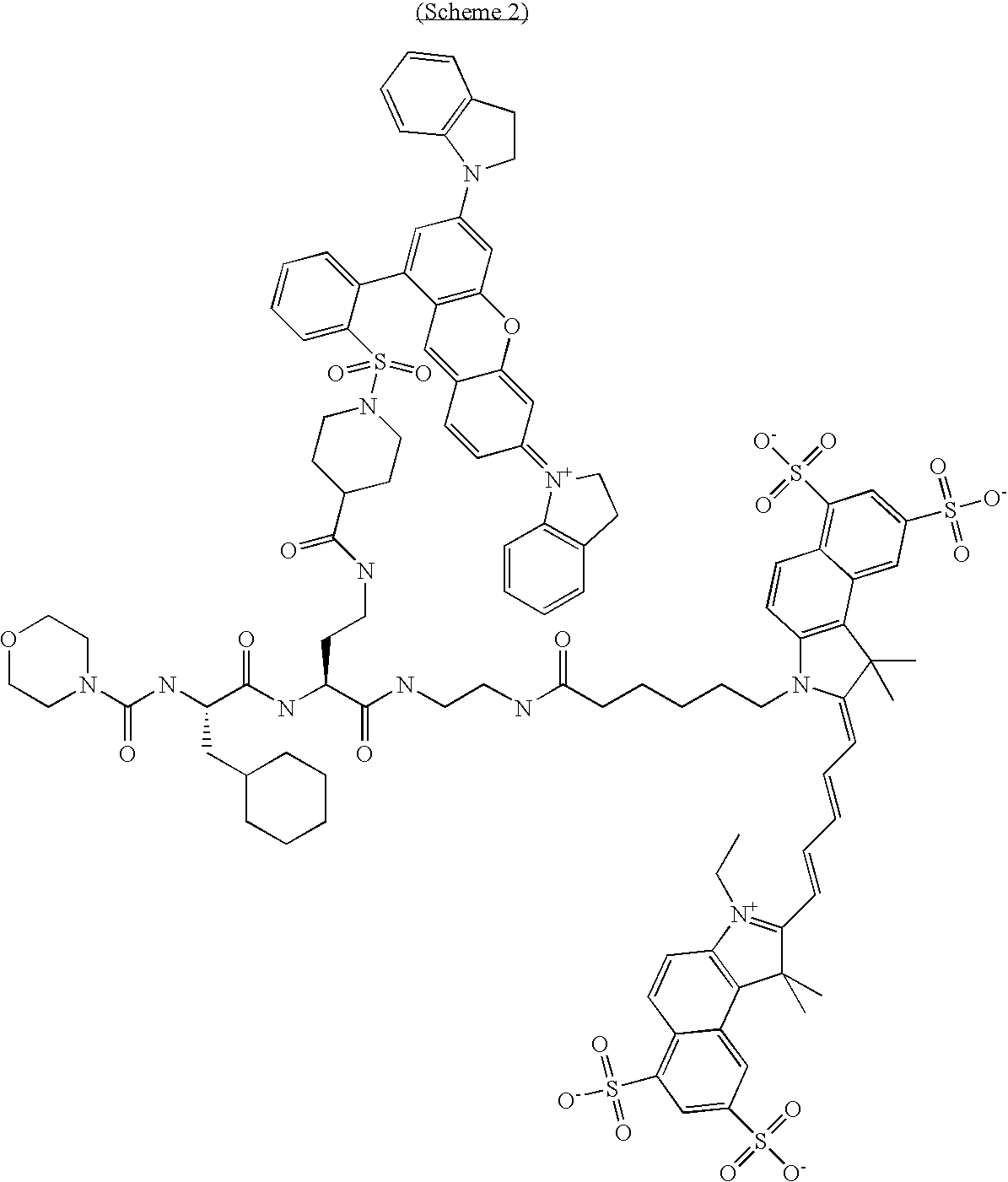 Figure US20100189658A1-20100729-C00022