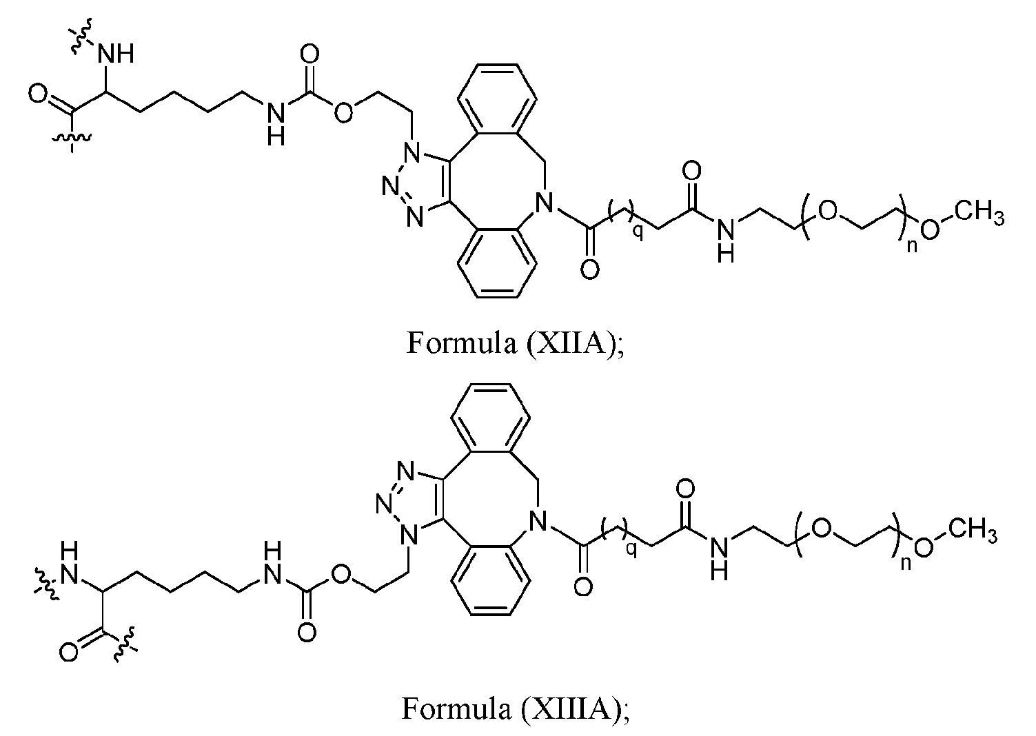 Figure imgf000024_0001