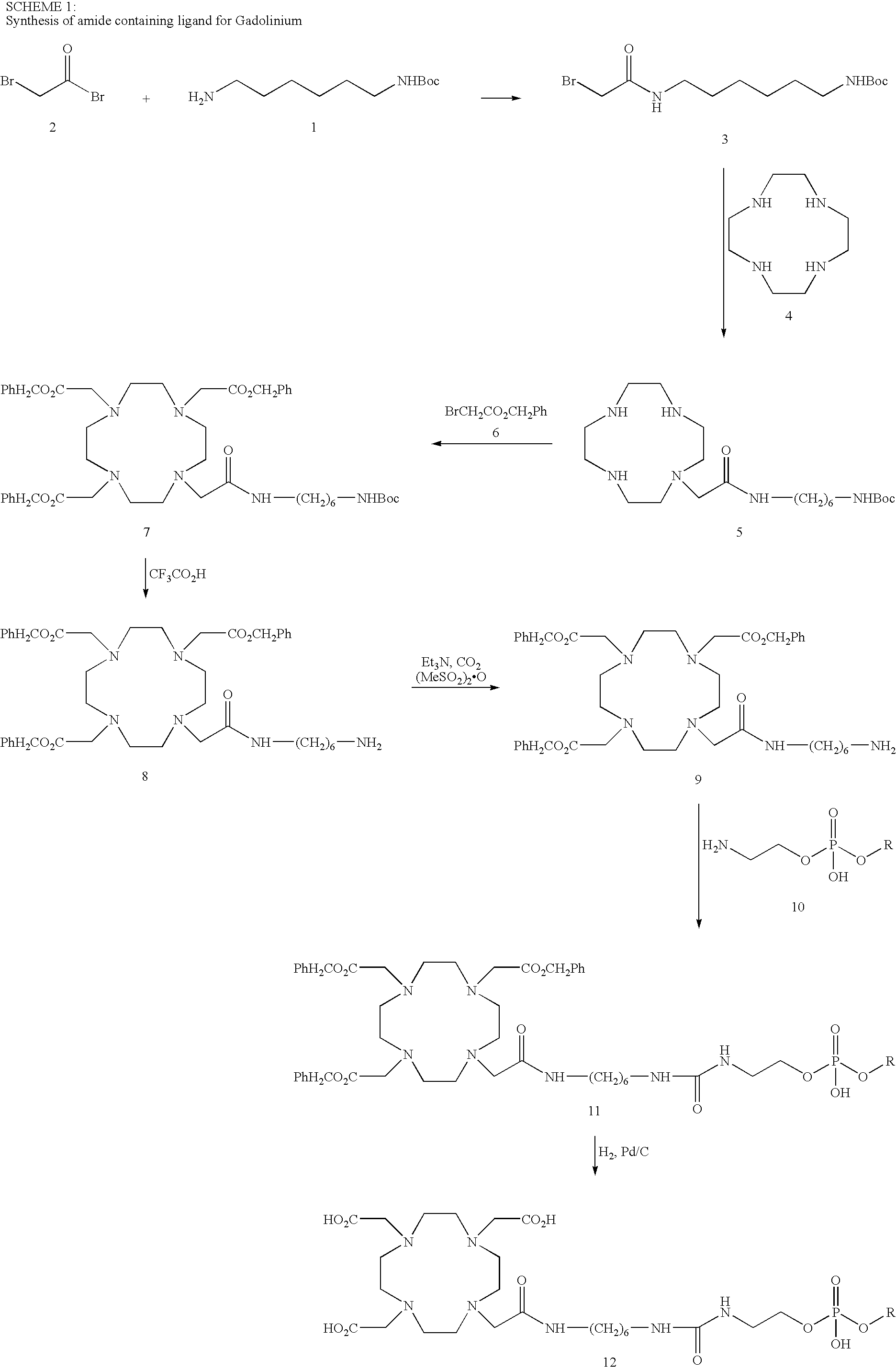 Figure US07504088-20090317-C00009