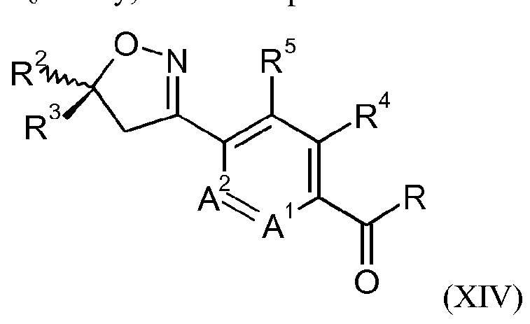 Figure imgf000021_0002