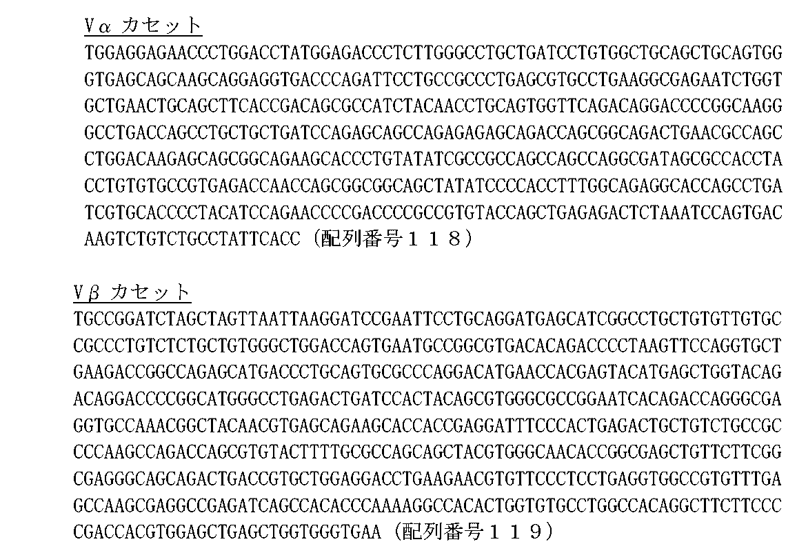 Figure 0007207661000022