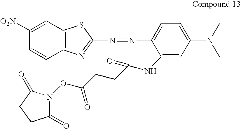 Figure US20100311184A1-20101209-C00079