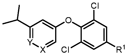 Figure imgf000223_0002