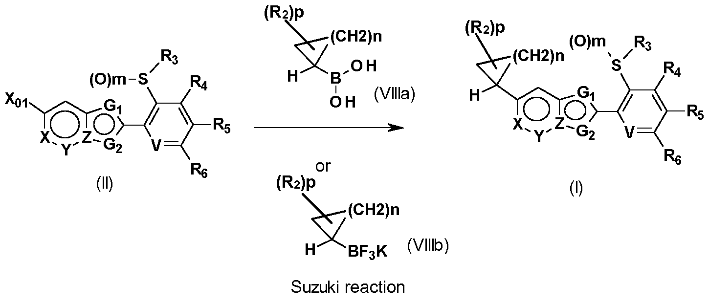 Figure imgf000013_0002