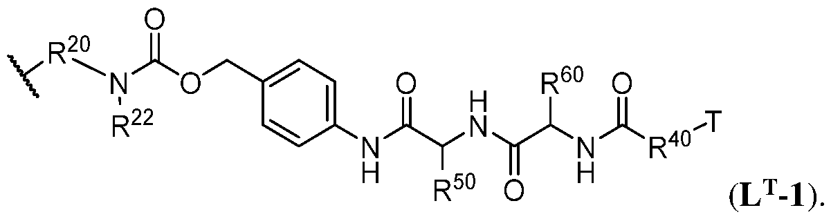 Figure imgf000102_0005