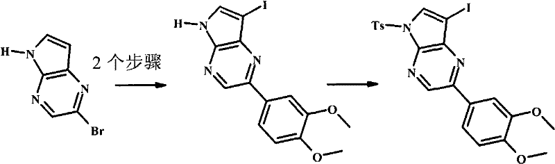 Figure BPA00001207418600861