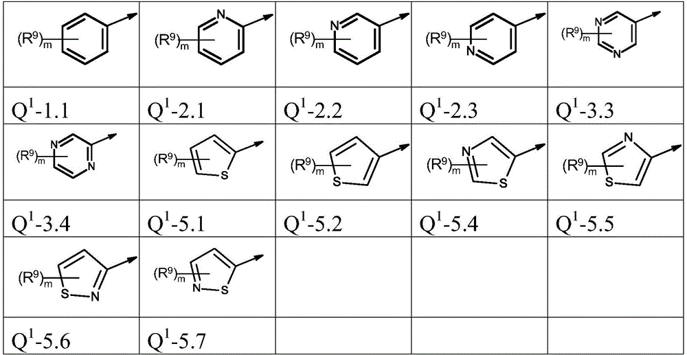 Figure FDA0003773017420000111