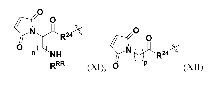 Figure 0007244987000012