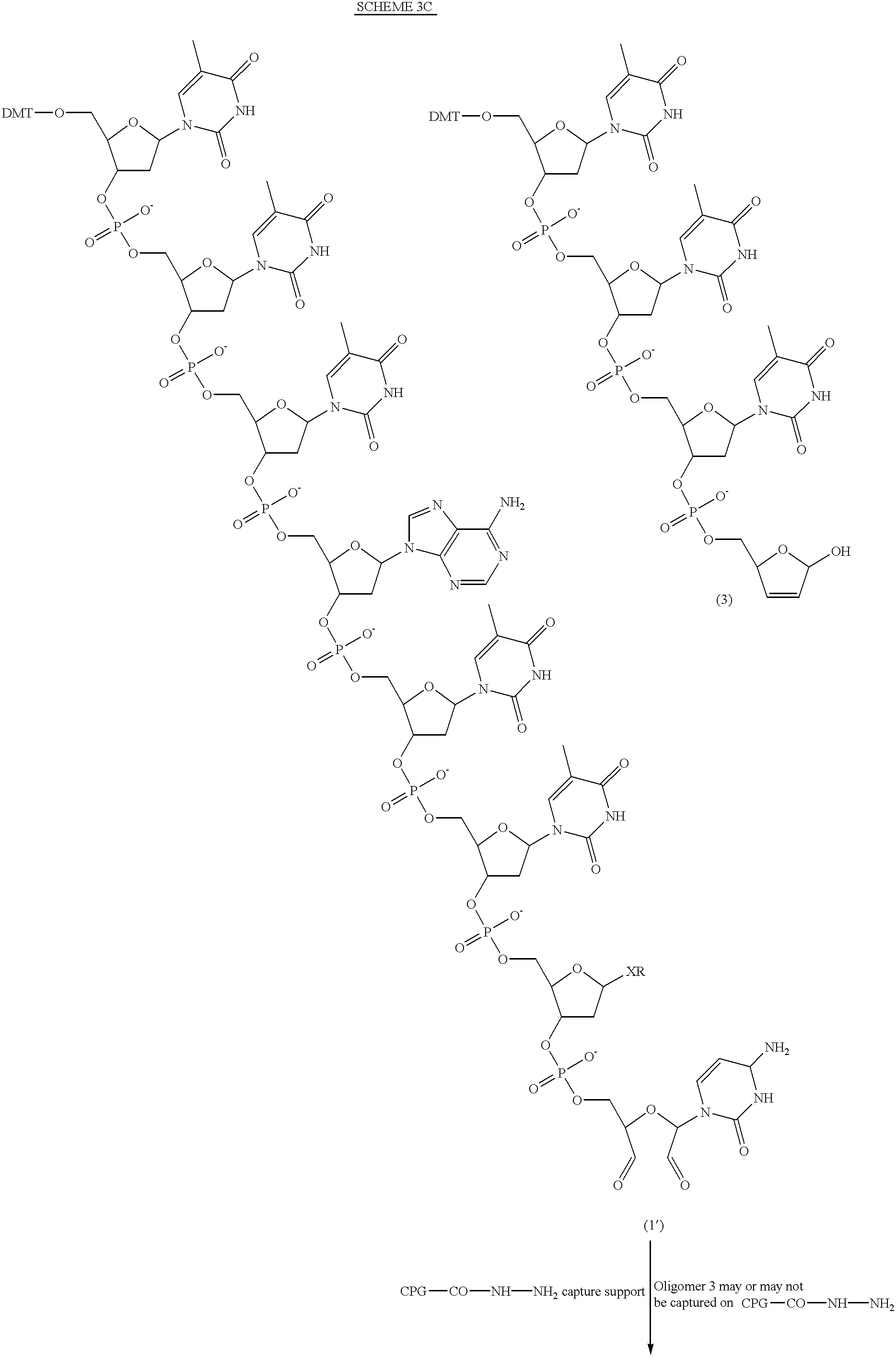 Figure US06472522-20021029-C00025