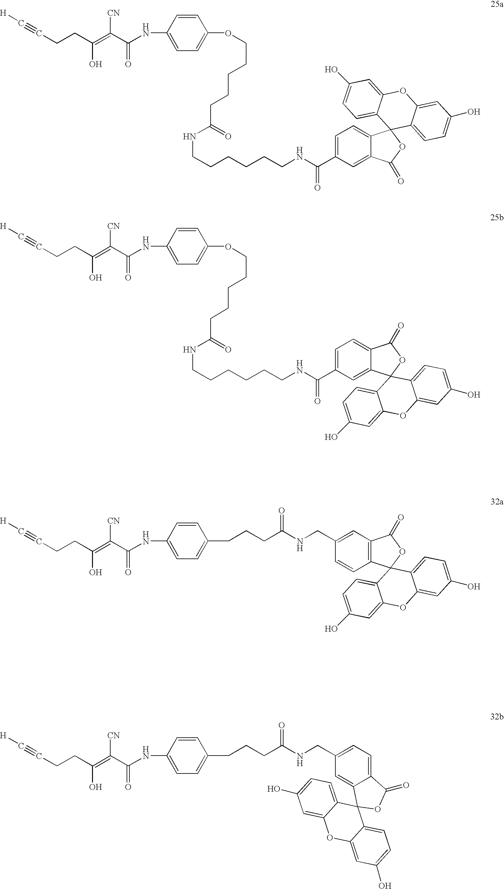 Figure US20070269841A1-20071122-C00006