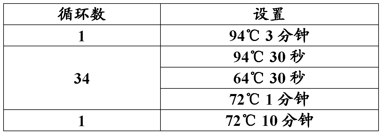 Figure PCTCN2016077864-appb-000006