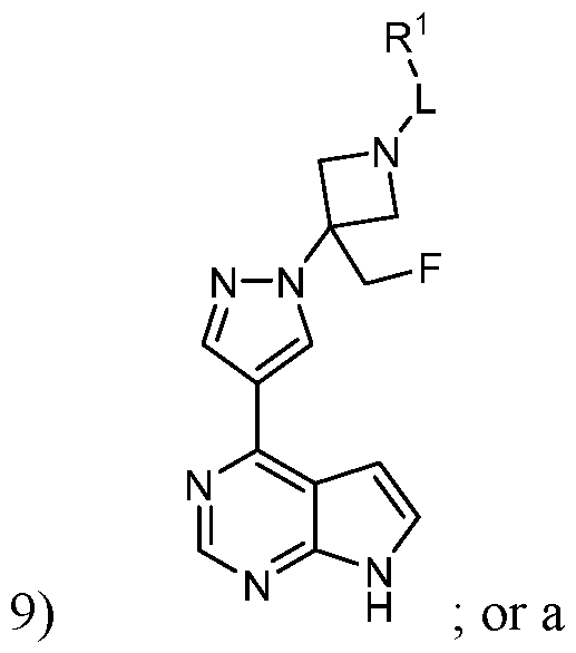 Figure imgf000011_0001