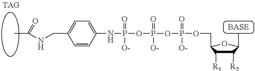 Figure US20140134616A1-20140515-C00005