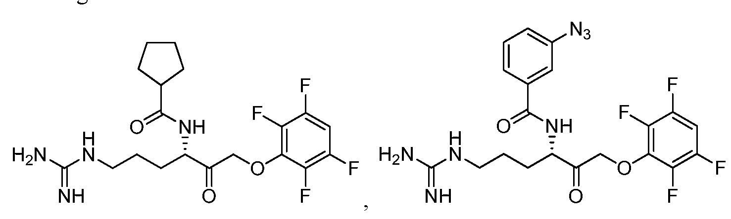Figure imgf000085_0001