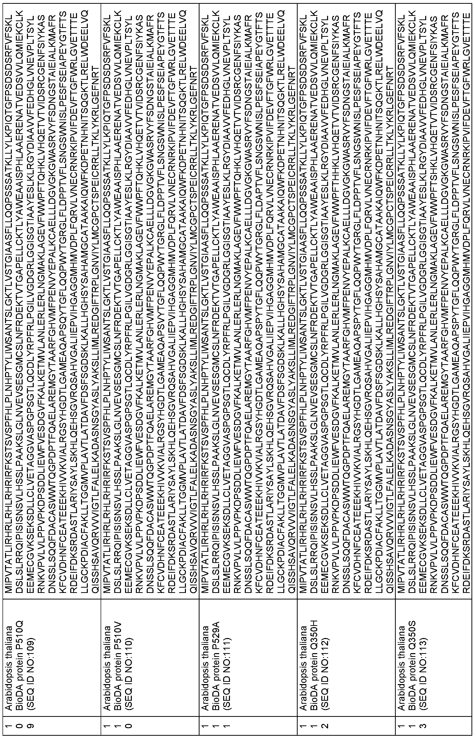 Figure imgf000242_0001