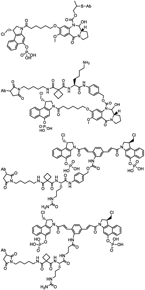 Figure BDA0003169464670001501