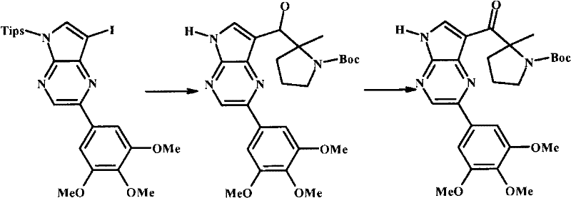 Figure BPA00001207418601111