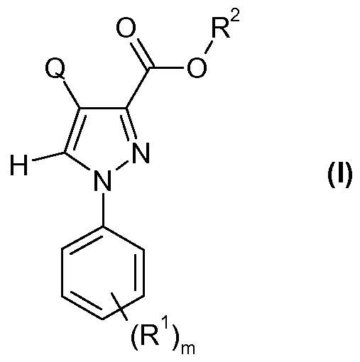 Figure imgf000007_0001