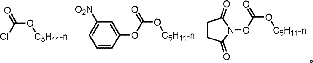 Figure GPA00000671272000043