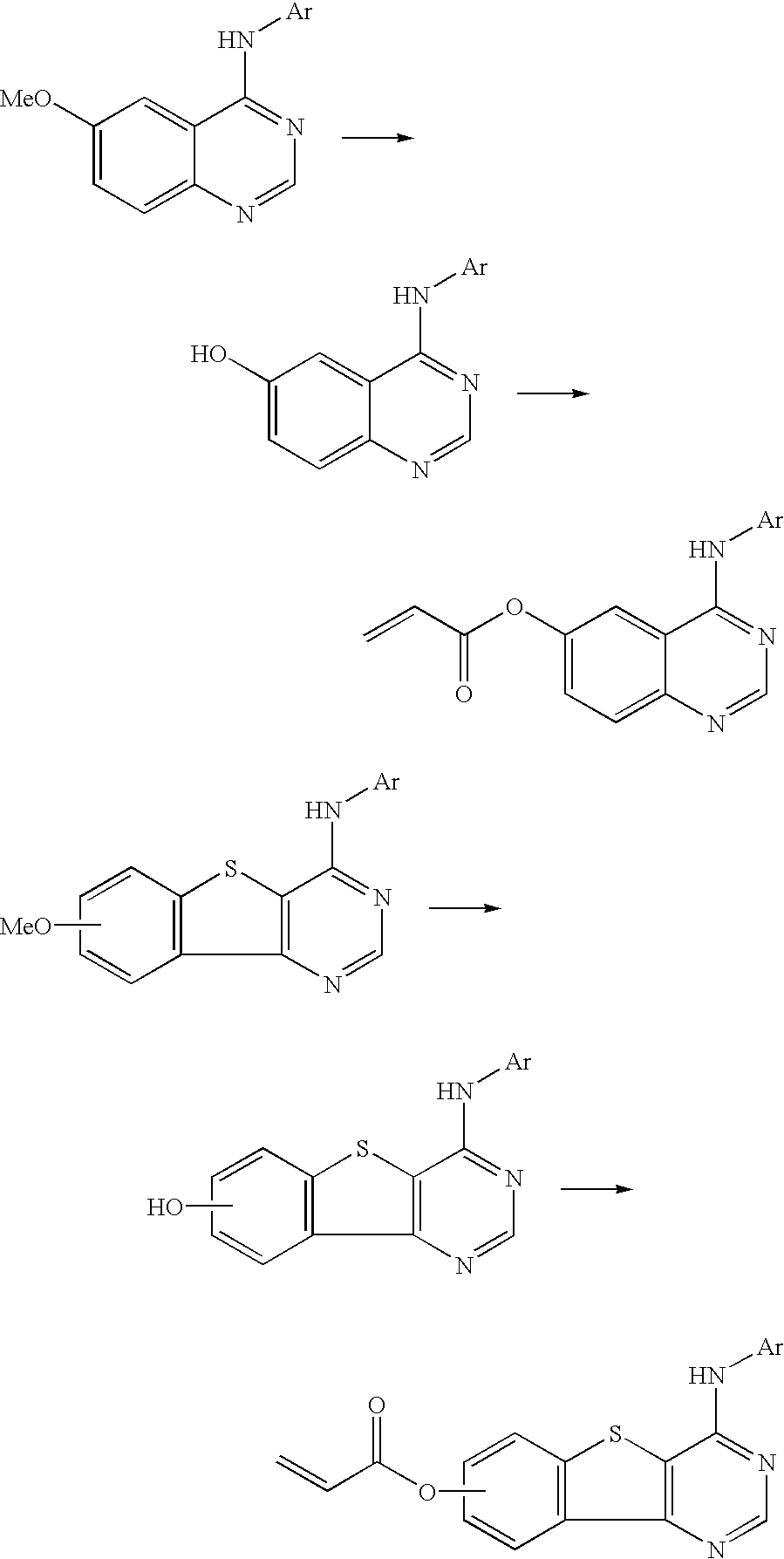 Figure US20030229051A1-20031211-C00058