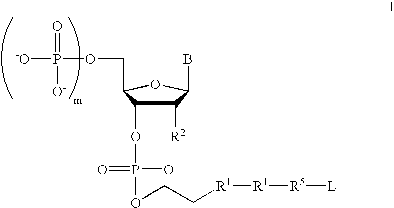 Figure US20080026380A1-20080131-C00002