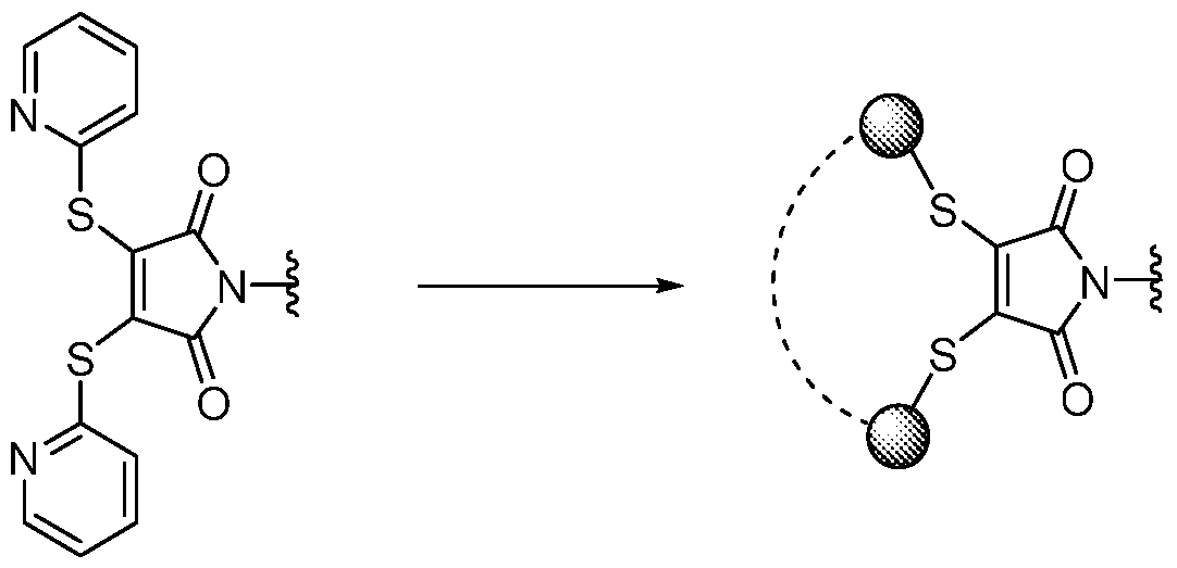 Figure imgf000143_0001