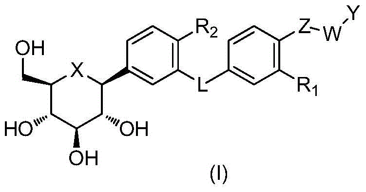Figure BDA0000552193260000021